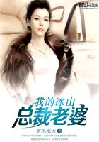 我的冰山总裁老婆林枫小说