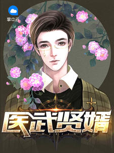 医武贤婿(最强上门女婿)