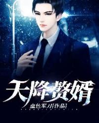 天降赘婿阅读