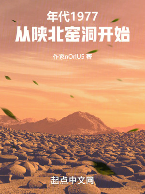 年代:从陕北窑洞开始小说下载
