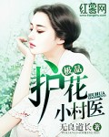 极品护花小村医夏雨TXT下载